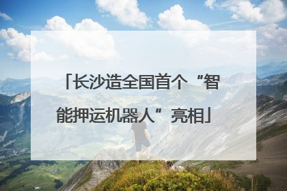 长沙造全国首个“智能押运机器人”亮相
