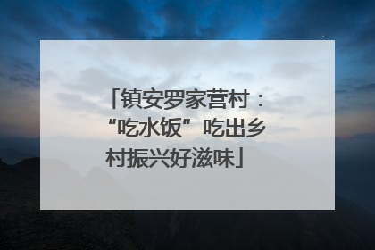 镇安罗家营村：“吃水饭”吃出乡村振兴好滋味