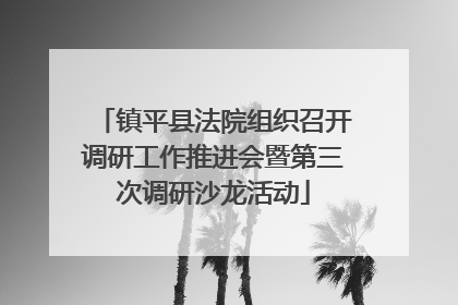 镇平县法院组织召开调研工作推进会暨第三次调研沙龙活动