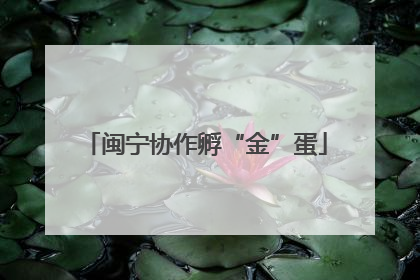 闽宁协作孵“金”蛋