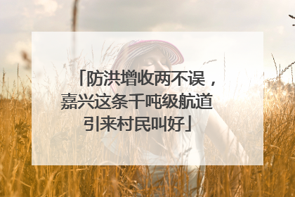 防洪增收两不误，嘉兴这条千吨级航道引来村民叫好