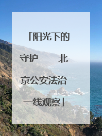 阳光下的守护——北京公安法治一线观察