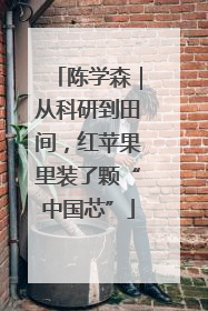陈学森｜从科研到田间，红苹果里装了颗“中国芯”