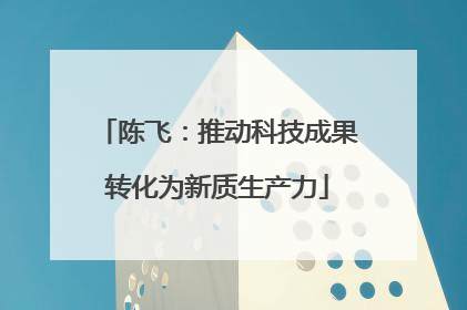 陈飞：推动科技成果转化为新质生产力