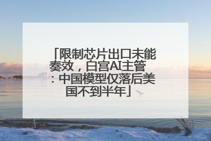 限制芯片出口未能奏效，白宫AI主管：中国模型仅落后美国不到半年