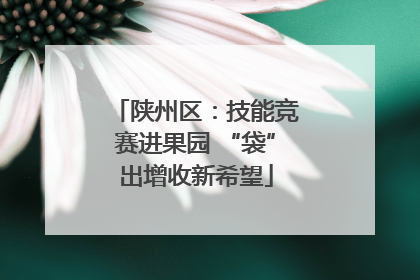 陕州区：技能竞赛进果园 “袋”出增收新希望