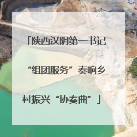 陕西汉阴第一书记“组团服务”奏响乡村振兴“协奏曲”