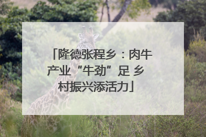 隆德张程乡：肉牛产业“牛劲”足 乡村振兴添活力