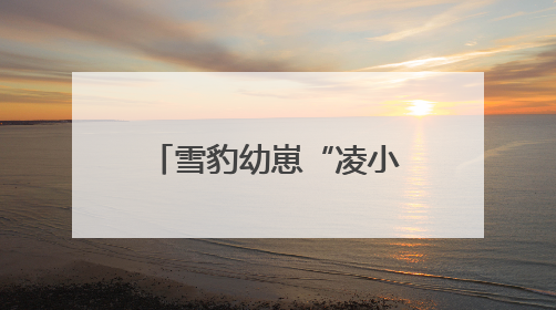 雪豹幼崽“凌小蛰”百日重生