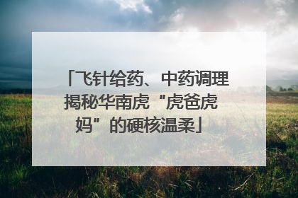 飞针给药、中药调理 揭秘华南虎“虎爸虎妈”的硬核温柔