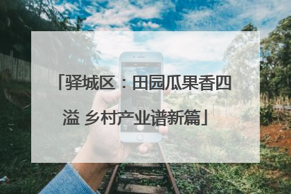 驿城区：田园瓜果香四溢 乡村产业谱新篇