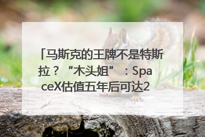 马斯克的王牌不是特斯拉？“木头姐”：SpaceX估值五年后可达2.5万亿美元！