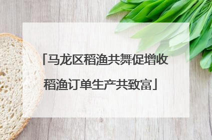 马龙区稻渔共舞促增收 稻渔订单生产共致富