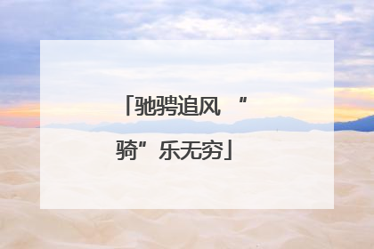 驰骋追风 “骑”乐无穷
