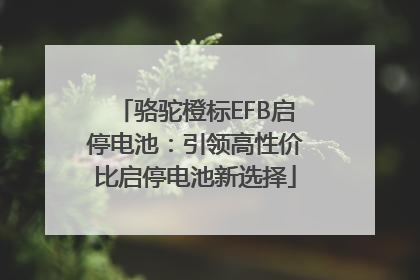 骆驼橙标EFB启停电池：引领高性价比启停电池新选择