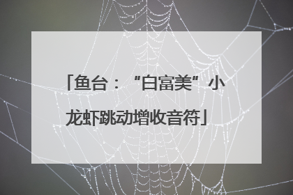 鱼台：“白富美”小龙虾跳动增收音符