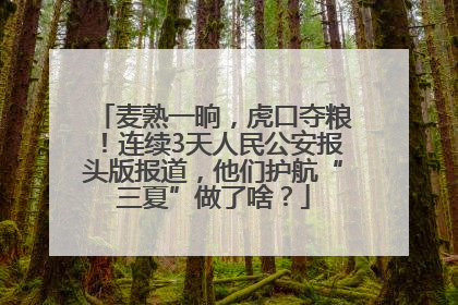 麦熟一晌，虎口夺粮！连续3天人民公安报头版报道，他们护航“三夏”做了啥？