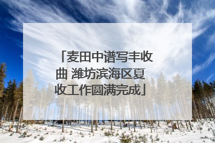 麦田中谱写丰收曲 潍坊滨海区夏收工作圆满完成