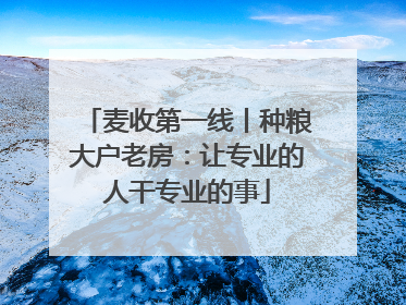 麦收第一线丨种粮大户老房：让专业的人干专业的事