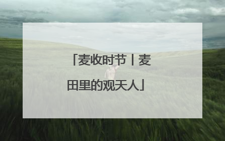 麦收时节丨麦田里的观天人