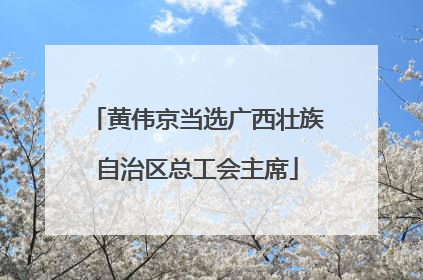 黄伟京当选广西壮族自治区总工会主席