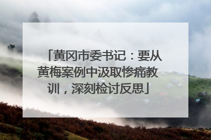 黄冈市委书记：要从黄梅案例中汲取惨痛教训，深刻检讨反思