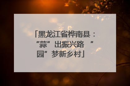 黑龙江省桦南县：“蒜”出振兴路 “园”梦新乡村