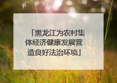 黑龙江为农村集体经济健康发展营造良好法治环境