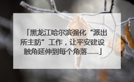 黑龙江哈尔滨强化“派出所主防”工作，让平安建设触角延伸到每个角落……