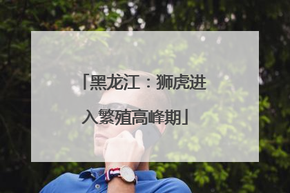 黑龙江：狮虎进入繁殖高峰期