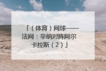 （体育）网球——法网：辛纳对阵阿尔卡拉斯（2）