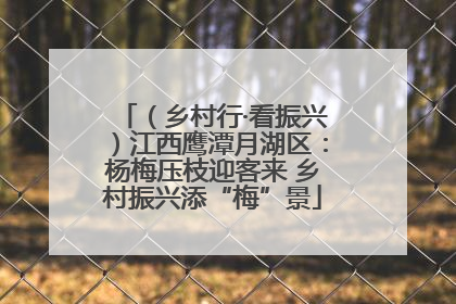 （乡村行·看振兴）江西鹰潭月湖区：杨梅压枝迎客来 乡村振兴添“梅”景