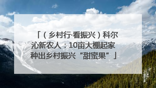 （乡村行·看振兴）科尔沁新农人：10亩大棚起家种出乡村振兴“甜蜜果”