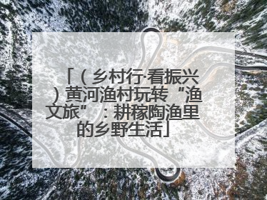（乡村行·看振兴）黄河渔村玩转“渔文旅”：耕稼陶渔里的乡野生活