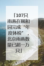 107只雨燕在颐和园完成“年度体检”，北京雨燕数量已超一万只
