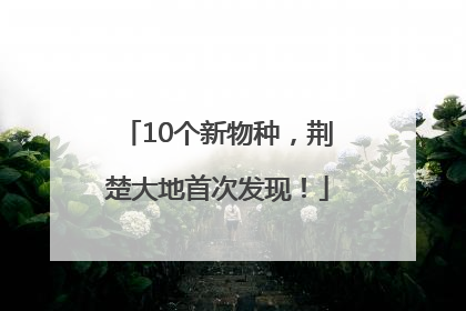 10个新物种，荆楚大地首次发现！