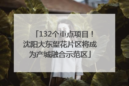 132个重点项目！沈阳大东望花片区将成为产城融合示范区