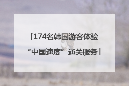 174名韩国游客体验“中国速度”通关服务