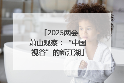 2025两会·萧山观察：“中国视谷”的新江湖