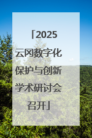 2025云冈数字化保护与创新学术研讨会召开