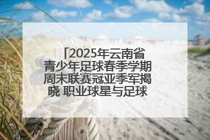 2025年云南省青少年足球春季学期周末联赛冠亚季军揭晓 职业球星与足球小将共享荣耀时刻