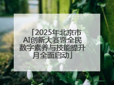 2025年北京市AI创新大赛暨全民数字素养与技能提升月全面启动