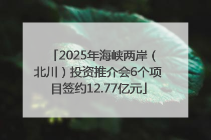 2025年海峡两岸（北川）投资推介会6个项目签约12.77亿元