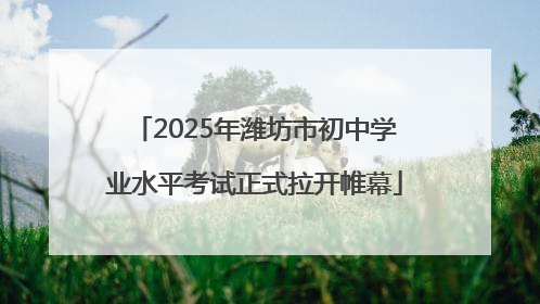 2025年潍坊市初中学业水平考试正式拉开帷幕