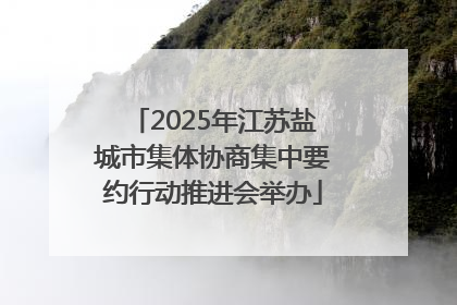 2025年江苏盐城市集体协商集中要约行动推进会举办