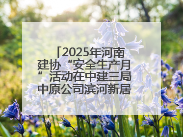2025年河南建协“安全生产月”活动在中建三局中原公司滨河新居项目启动