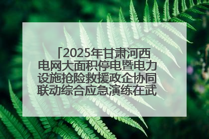 2025年甘肃河西电网大面积停电暨电力设施抢险救援政企协同联动综合应急演练在武威成功举行