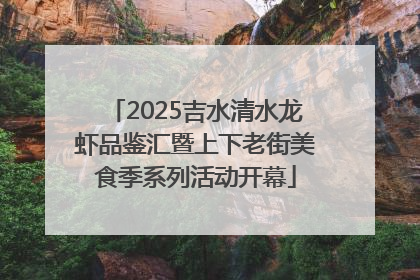 2025吉水清水龙虾品鉴汇暨上下老街美食季系列活动开幕