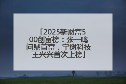 2025新财富500创富榜：张一鸣问鼎首富，宇树科技王兴兴首次上榜