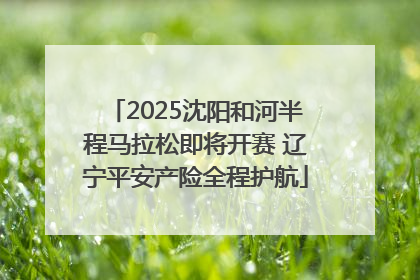 2025沈阳和河半程马拉松即将开赛 辽宁平安产险全程护航